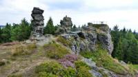 Přírodní památka Vysoký kámen se rozprostírá na skalnatém hřbetě nad obcí Kostelní v Přírodním